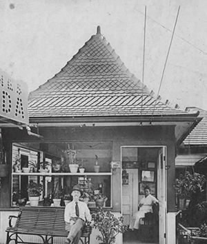 Jones Soda well photograph