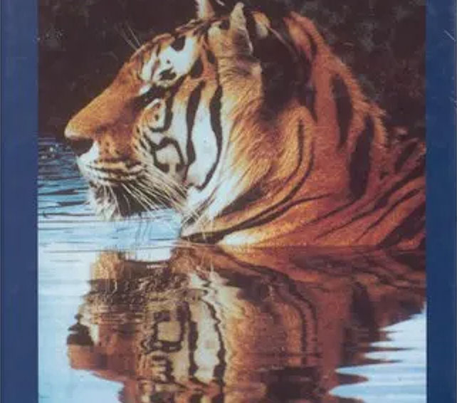 Excelsior Springs Yearbook image