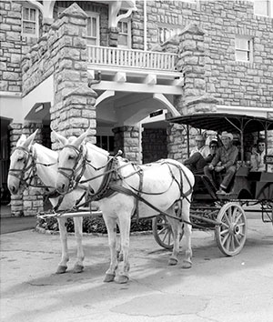 Horse drawn carriage with two white horses and people sitting in a carriage behind